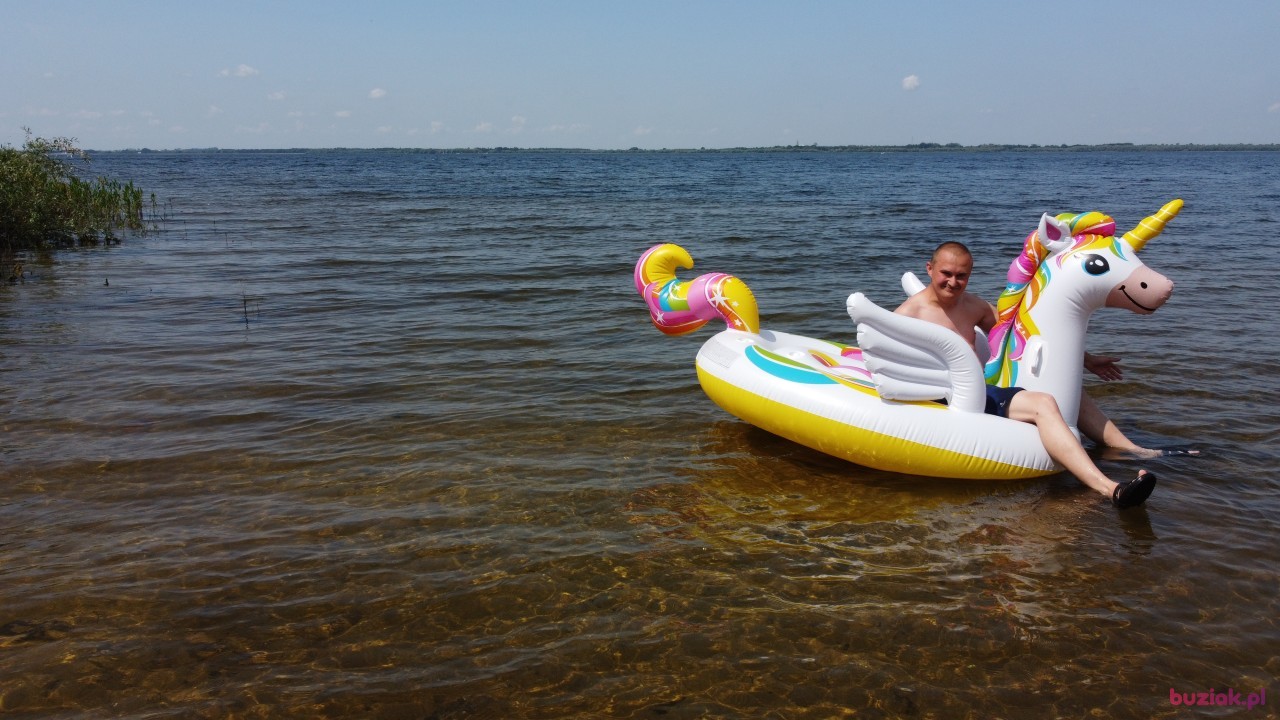Michał, Mężczyzna, 36, Zgierz, Polska, Zdjęcie: 430