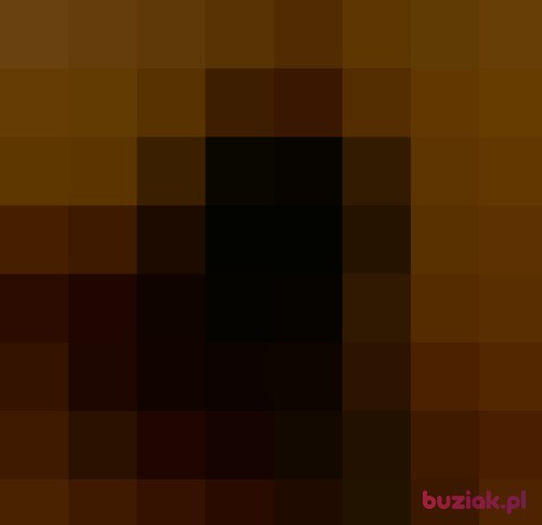 SZUAL, Male, 43 years, Elbląg