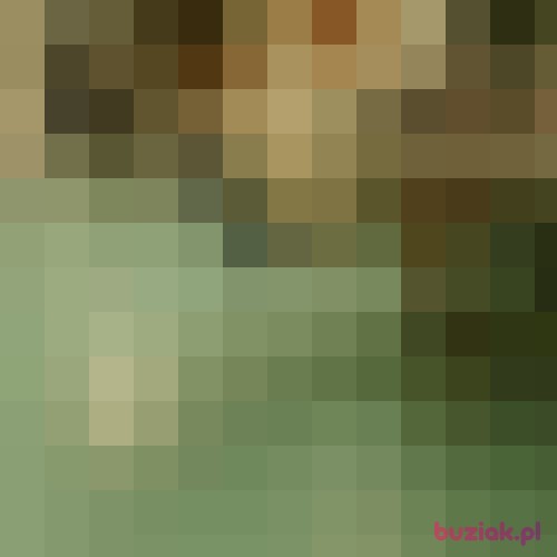 jadiu666, Male, 38 years, Krosno