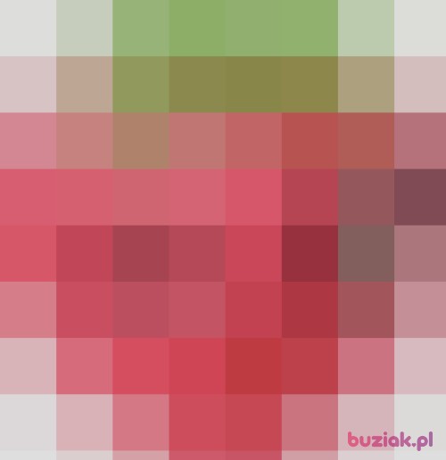 biedronkakasia, Female, 43 years, Grudziądz