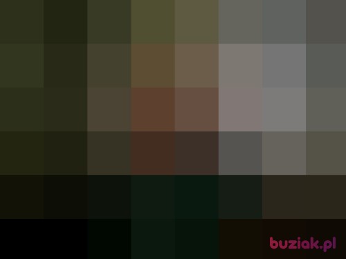 viceroy, Male, 51 years, Krosno