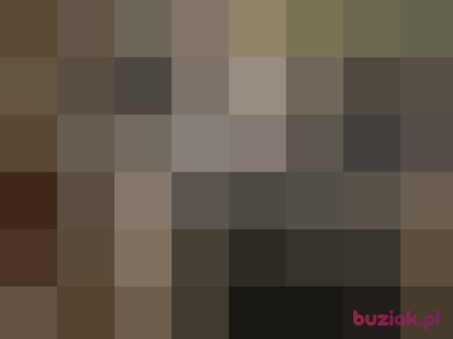 sruba, Male, 38 years, Nowy Targ