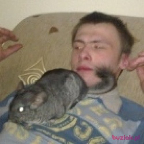 Patryk93sc, Male, 31 years, Sosnowiec