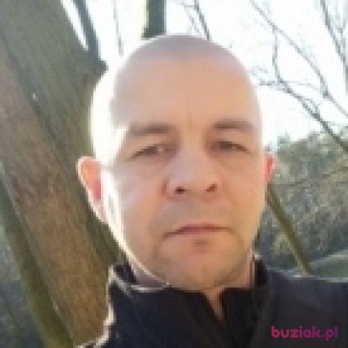 willi79, Male, 46 years, Polkowice
