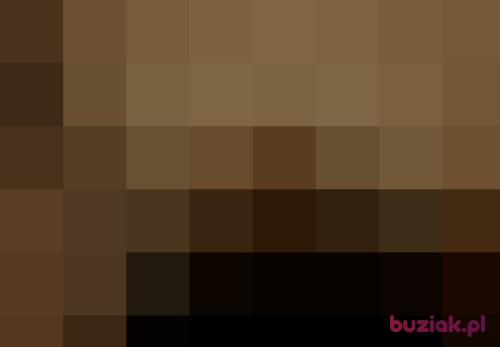 ammy, Male, 63 years, Lublin