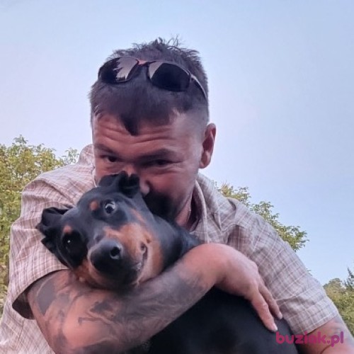 Krzysztof240783, Male, 41 years, Westminster