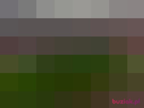 Nudziarz, Male, 31 years, Płock