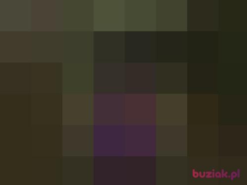karincia, Kobieta, 26 lat, Polska