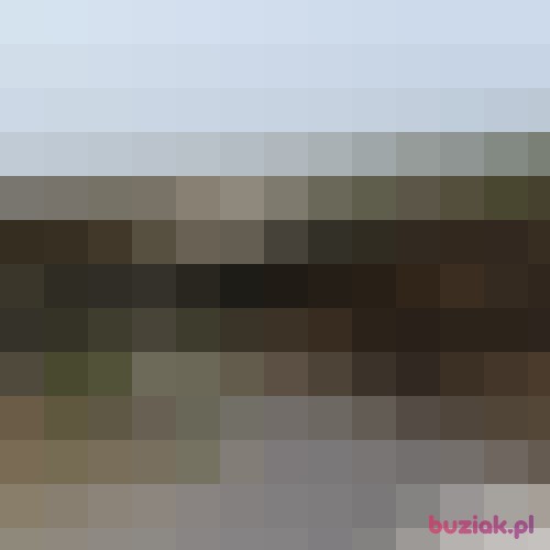 DGL__, Male, 37 years, Amsterdam