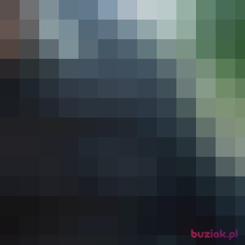 bitnyBigos, Male, 29 years, Bydgoszcz