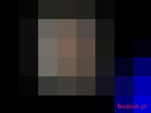 pracus38, Male, 67 years, Grudziądz