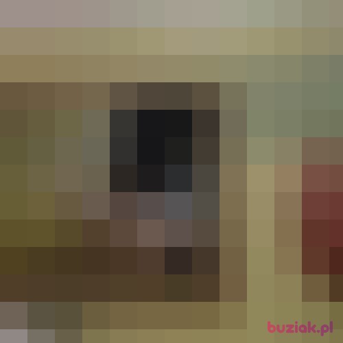 Jan_a_jak, Male, 21 years, Toruń
