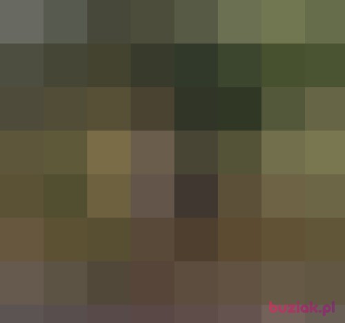 olaola5, Female, 58 years, Opole