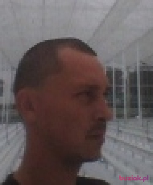 bombel20155, Mężczyzna, 37 lat, Tomaszów Lubelski