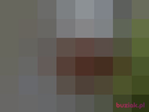 maro760, Male, 49 years, Opole