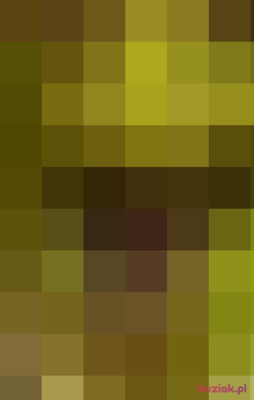 Shrek1337, Mężczyzna, 95 lat, Boguszów-Gorce