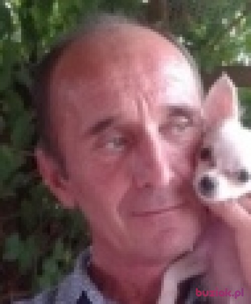 andrzej923, Mężczyzna, 63 lata, Oleśnica