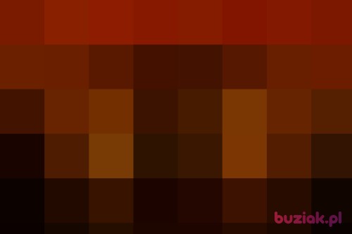 korb77, Male, 48 years, Tychy