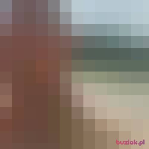 RadoslawW, Male, 36 years, Oleśnica