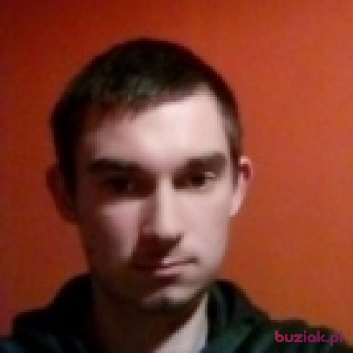 Sylwek96, Male, 28 years, Pabianice