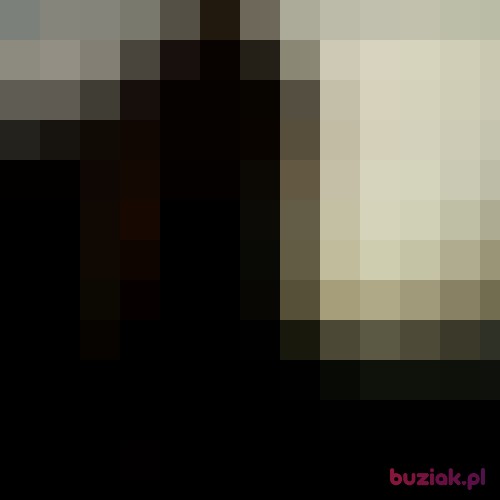 karolkowalski44, Mężczyzna, 21 lat, Szamotuły