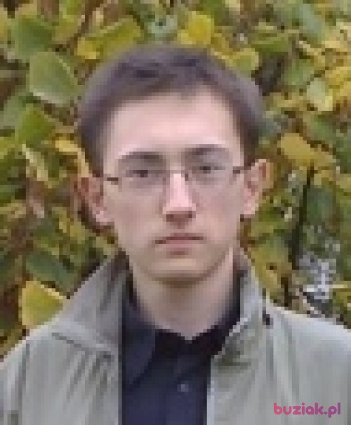 Pawix96, Mężczyzna, 29 lat, Bydgoszcz