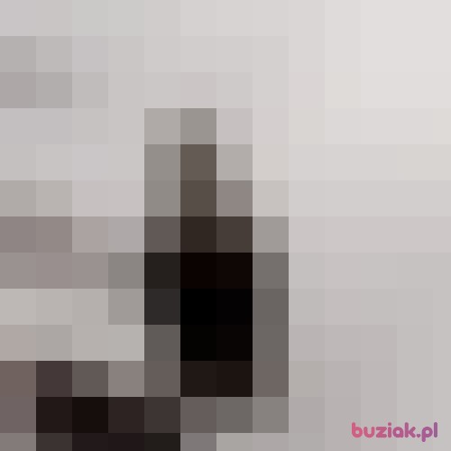 elcia27, Kobieta, 37 lat, Szczecin