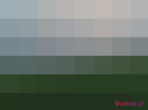 niunia27m, Female, 68 years, Gdańsk