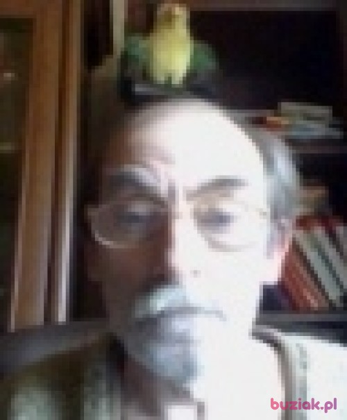 DAHRAN58, Mężczyzna, 66 lat, Bytom