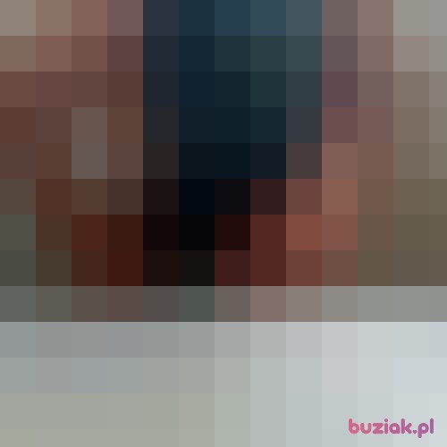 walecznyRobo, Male, 42 years, Grudziądz