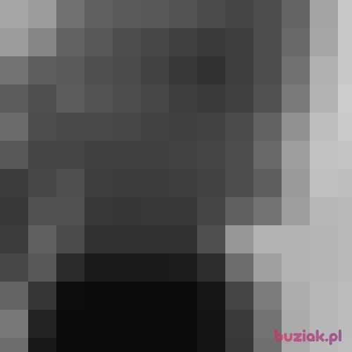 neatMic, Male, 27 years, Celle Lower Saxony