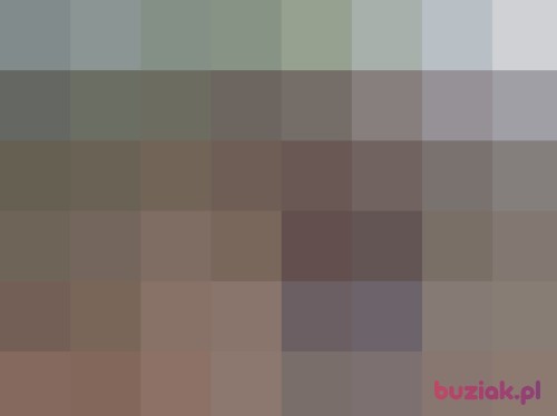 adam555, Male, 52 years, Zabrze