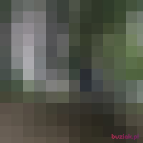 lamaja, Female, 68 years, Lublin