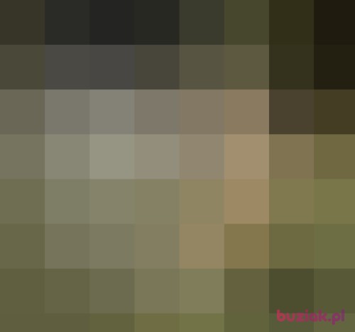 buniobunio, Male, 44 years, Wrocław