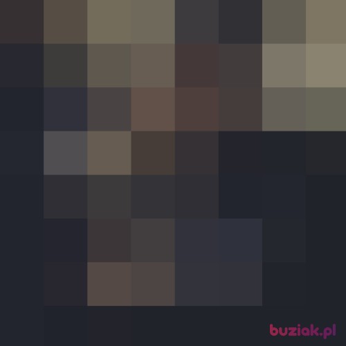 BustedBeech, Mężczyzna, 30 lat, Warszawa