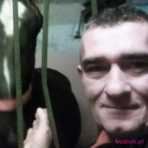 TOMEKREZ, Male, 46 years, Kozienice