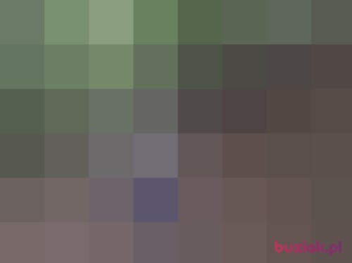 Fan87, Male, 37 years, Strzegom