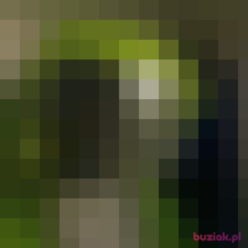 Maveric70, Male, 50 years, Sopot