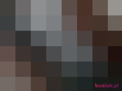 dmn88, Male, 37 years, Katowice