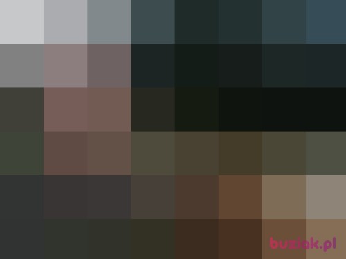 xxxxwp, Male, 49 years, Bydgoszcz