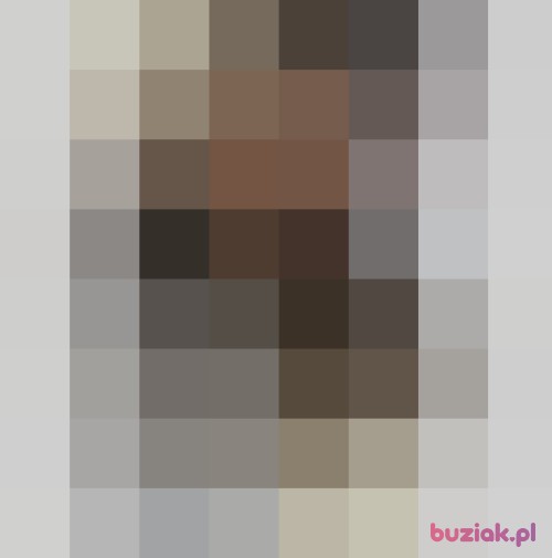Mendy, Female, 41 years, San Francisco