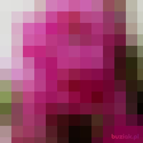 Aniito, Female, 54 years, Szczecin