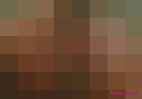 brysiu33, Male, 43 years, Zator