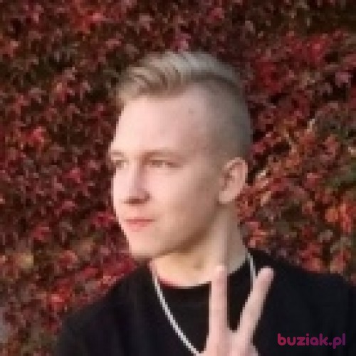 DawidAkaPrawol, Male, 23 years, Żory