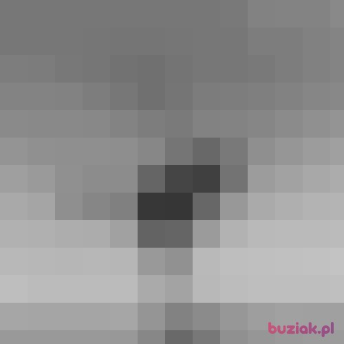 makxyz1, Male, 36 years, Edinburgh
