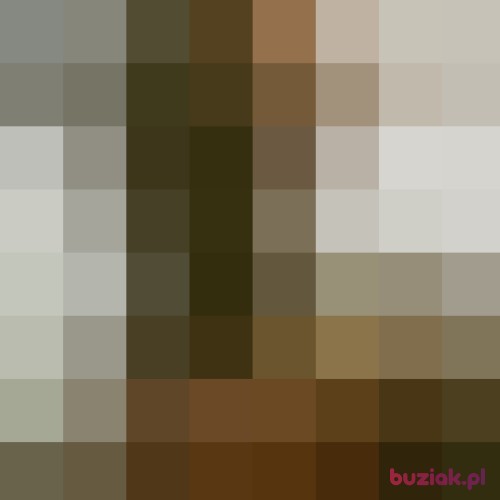 Indzix, Female, 35 years, Warszawa