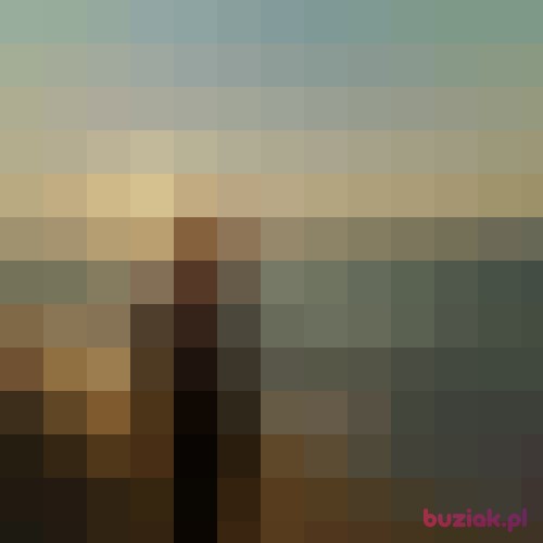 lamaja, Kobieta, 68 lat, Lublin