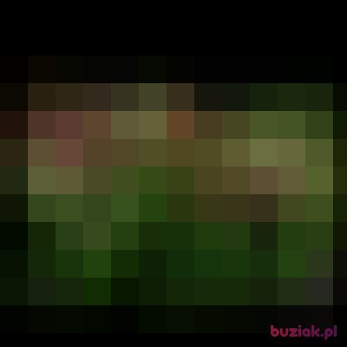 mmm-, Female, 50 years, Busko-Zdrój