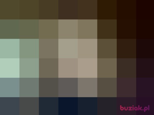 Belleesprit, Kobieta, 34 lata, Bydgoszcz