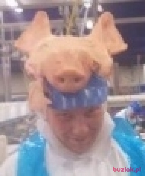 eli889, Mężczyzna, 35 lat, kujawsko-pomorskie